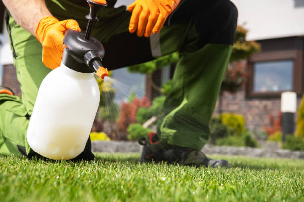 Best Pest Control Near Me  in Rosebud, SD