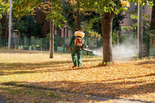 Best Flea Control Services  in Rosebud, SD