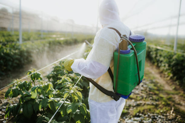 Best Affordable Pest Control Services  in Rosebud, SD
